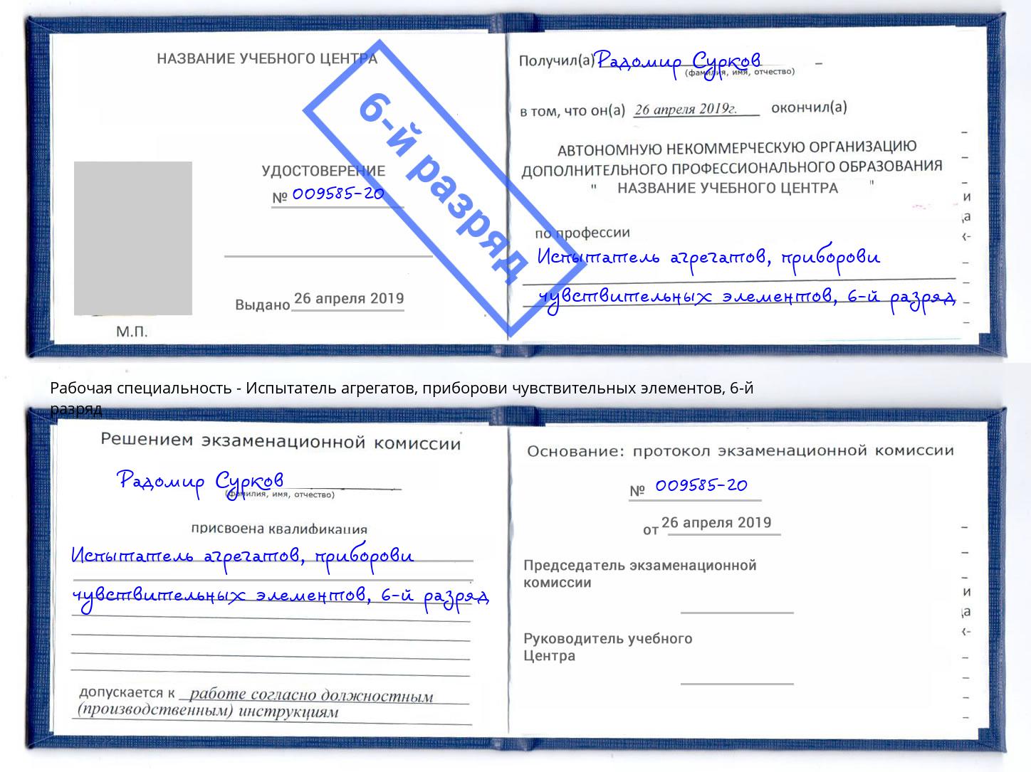 корочка 6-й разряд Испытатель агрегатов, приборови чувствительных элементов Клин