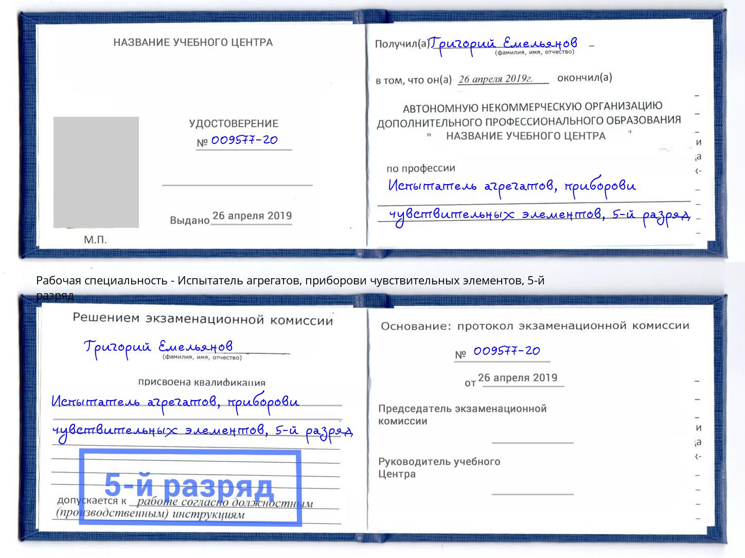 корочка 5-й разряд Испытатель агрегатов, приборови чувствительных элементов Клин