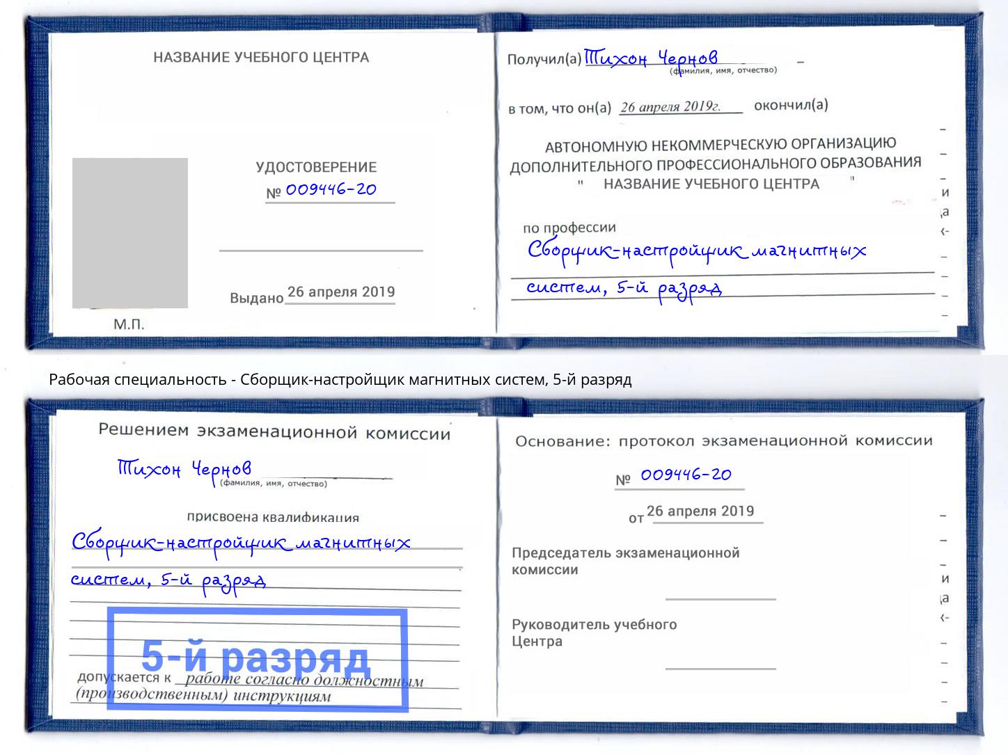 корочка 5-й разряд Сборщик-настройщик магнитных систем Клин